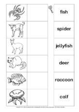 AB-animals-Zuordnung 9.pdf